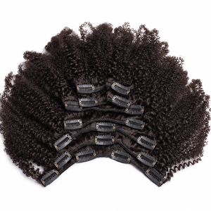 4B - 4C Kinky Coily Clip-Ins
