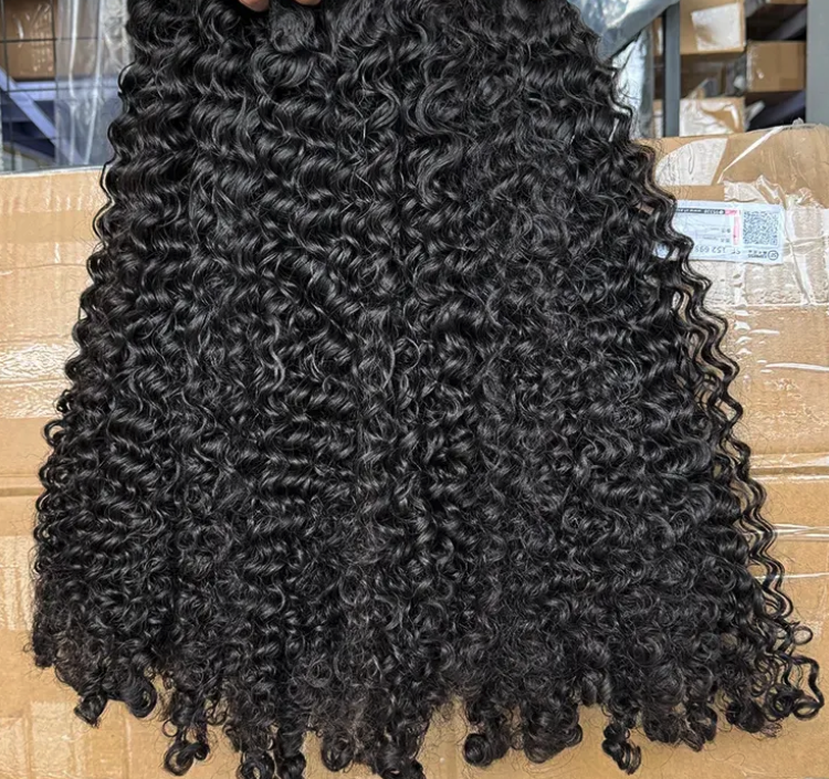 Burmese Kinky Curl