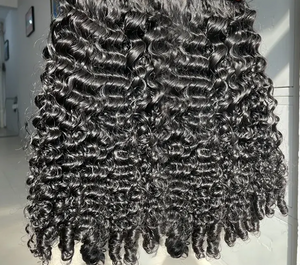 Burmese Kinky Curl