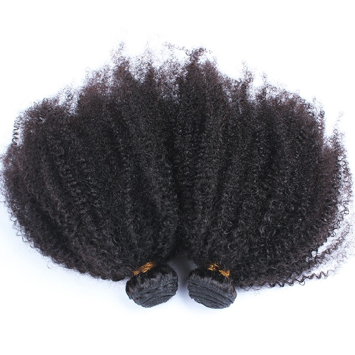 Afro Kinky Curl 4A-4C