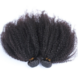 Afro Kinky Curl 4A–4B